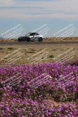 media/Jan-08-2023-SCCA SD (Sun) [[8f6a5b9391]]/Intermediate Group/Session 2 (Short Straight)/